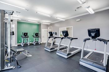 Cardio Equipment